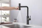 Robinet de cuisine Louvart avec bec pivotable et rétractable 3 jets